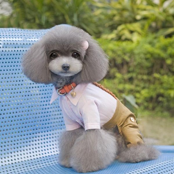 dog apparel jumpsuit romper spring pet coat jacket cool clothes bow wedding costume chihuahua clothing for
dog apparel jumpsuit romper spring pet coat jacket cool clothes bow wedding costume chihuahua clothing for