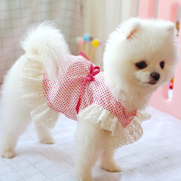 dog dress mini red stars lace skirt spring summer pets outfits dog clothes for small party cat skirt puppy pet costume
dog dress mini red stars lace skirt spring summer pets outfits dog clothes for small party cat skirt puppy pet costume