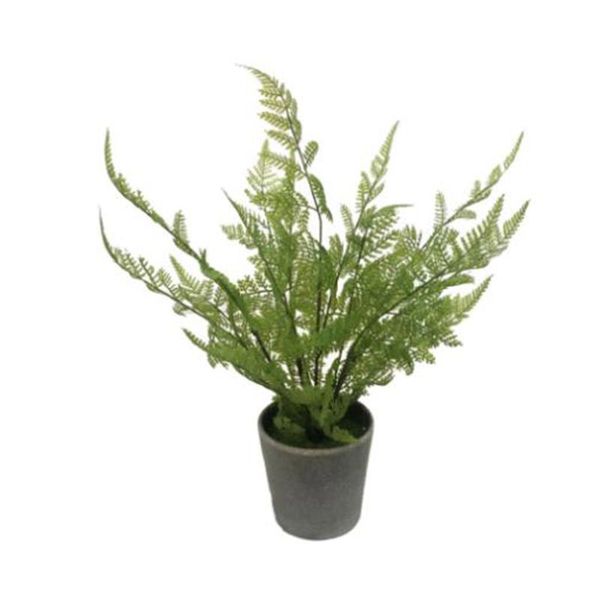plant pot simulation green plants artificial flower decorative home decoration environmental washable cross-border bonsai
plant pot simulation green plants artificial flower decorative home decoration environmental washable cross-border bonsai