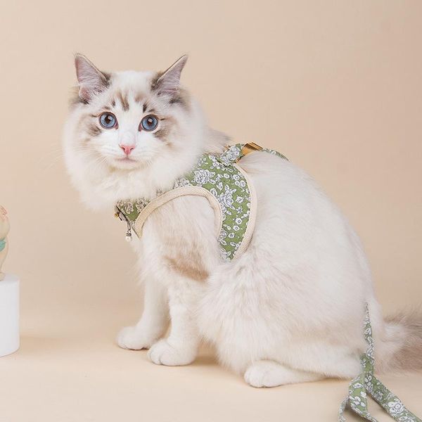 cat collars & leads 2021 harness and leash sets korean floral printed pet vest for dogs kitten teddy dog collar set
cat collars & leads 2021 harness and leash sets korean floral printed pet vest for dogs kitten teddy dog collar set