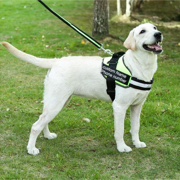 dog collars & leashes personalized harness no pull reflective breathable adjustable pet for small large vest with custom patch
dog collars & leashes personalized harness no pull reflective breathable adjustable pet for small large vest with custom patch