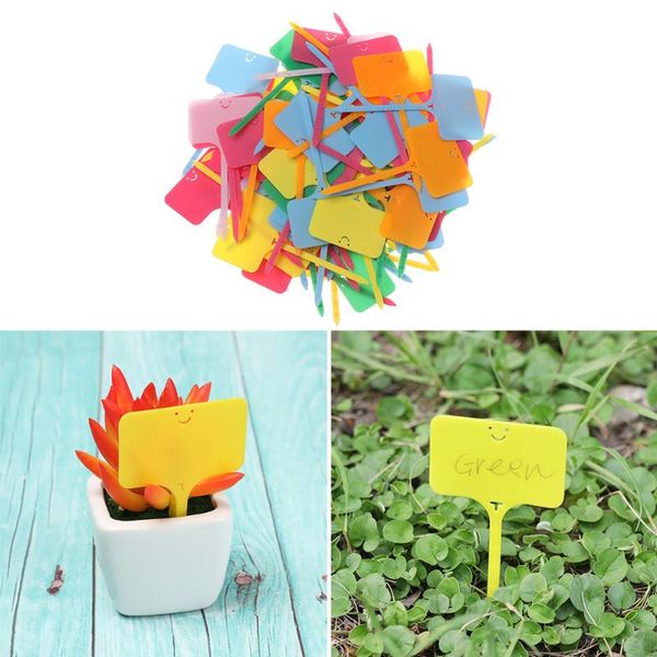 100pcs garden t-type plant markers label pot planter vegetable labels waterproof plastic markers tag
100pcs garden t-type plant markers label pot planter vegetable labels waterproof plastic markers tag