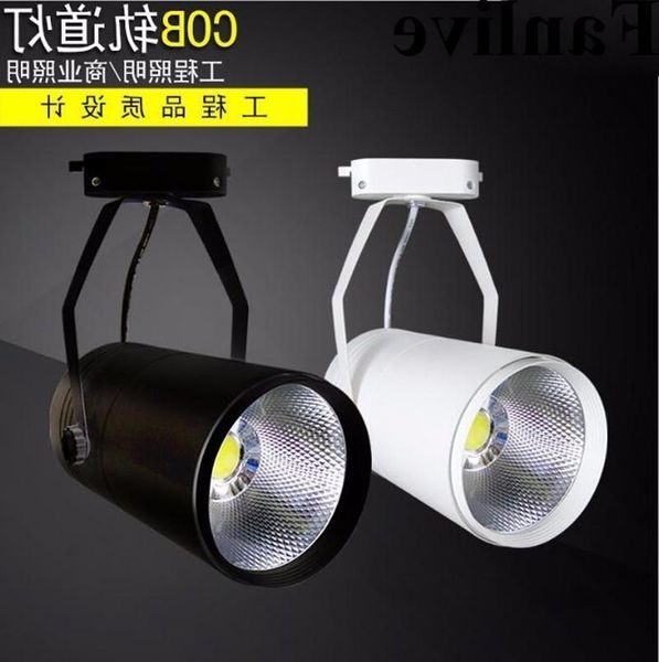 fanlive 10pcs 15w 20w 30w cob led light aluminum track lighting spot rail spotlights replace halogen lamps ac220v 110v
fanlive 10pcs 15w 20w 30w cob led light aluminum track lighting spot rail spotlights replace halogen lamps ac220v 110v