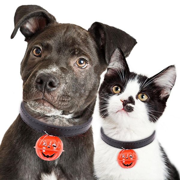 dog collars & leashes pet collar with pumpkin bell funny halloween cat synthetic leather adjustable leash 30
dog collars & leashes pet collar with pumpkin bell funny halloween cat synthetic leather adjustable leash 30