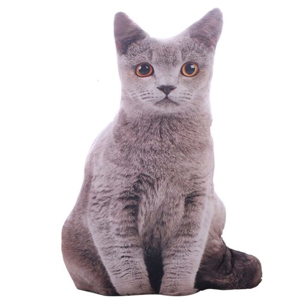 creative plush toy simulation meow star kit pillow children's doll whole person tease funny gift
creative plush toy simulation meow star kit pillow children's doll whole person tease funny gift