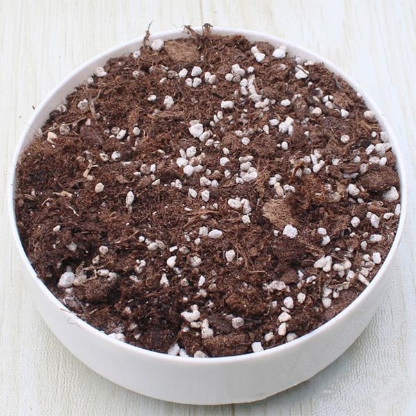 planters & pots 1pc bonsai flower pot simple imitated ceramics flowerpot creative planter container for garden (white)
planters & pots 1pc bonsai flower pot simple imitated ceramics flowerpot creative planter container for garden (white)