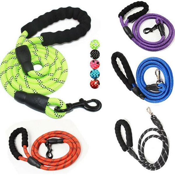 1pcs 5ft dog leash strong climbing multi-color nylon rope reflective thread night safe for walking medium large dog
1pcs 5ft dog leash strong climbing multi-color nylon rope reflective thread night safe for walking medium large dog