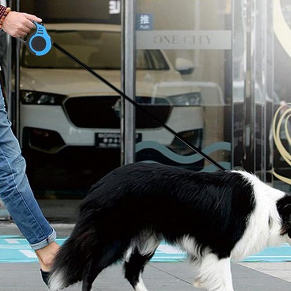 dog collars & leashes 3/5m pet leash automatic retractable flexible puppy cat traction rope belt for small medium dogs products
dog collars & leashes 3/5m pet leash automatic retractable flexible puppy cat traction rope belt for small medium dogs products