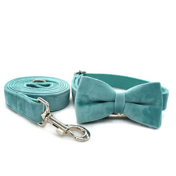 dog collars & leashes customized collar and leash with bow tie for big small engraved high-quality flocking set
dog collars & leashes customized collar and leash with bow tie for big small engraved high-quality flocking set