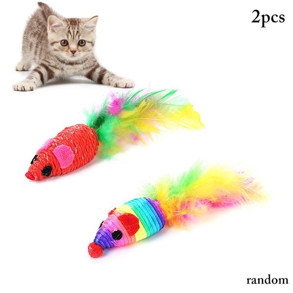 cat toys 2pcs random color mouse toy colorful plastic creative feather kitten bite interactive funny
cat toys 2pcs random color mouse toy colorful plastic creative feather kitten bite interactive funny