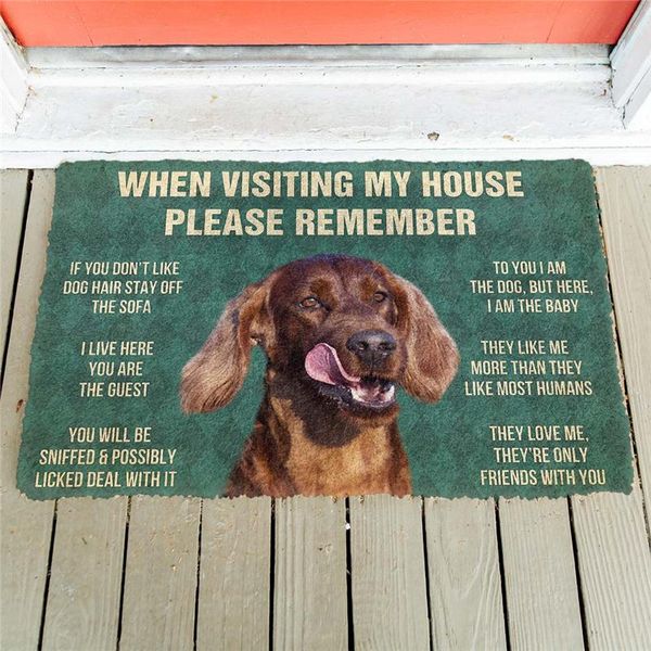 carpets please remember irish setters house rule doormat decor print animal dog floor door mat non-slip 3d soft flannel custom carpet
carpets please remember irish setters house rule doormat decor print animal dog floor door mat non-slip 3d soft flannel custom carpet