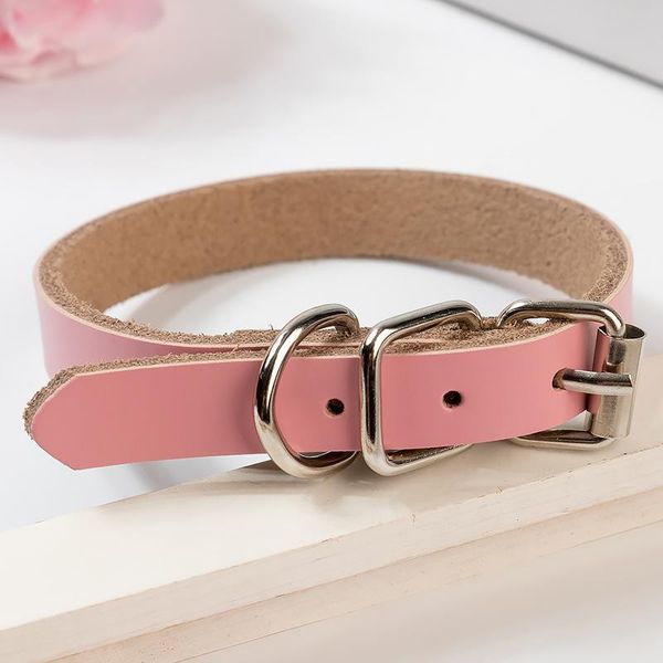 dog collars & leashes large durable personalized collar pu leather padded pet customized small medium dogs cat
dog collars & leashes large durable personalized collar pu leather padded pet customized small medium dogs cat