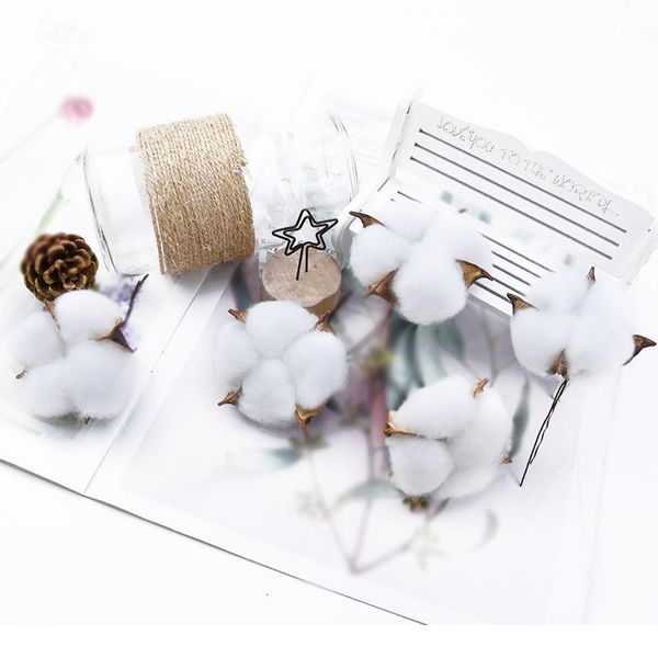 6pcs 5cm artificial flowers wholesale cotton bouquet christmas decorative flowers wreaths wedding holding flowers ho qyljsd
6pcs 5cm artificial flowers wholesale cotton bouquet christmas decorative flowers wreaths wedding holding flowers ho qyljsd