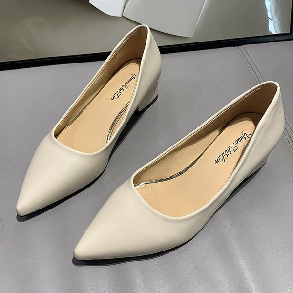 mid heel shoes women 2021 elegant office leather shoes ladies square heel pointed toes vintage sandals women pumps plus size 42, Black
mid heel shoes women 2021 elegant office leather shoes ladies square heel pointed toes vintage sandals women pumps plus size 42, Black