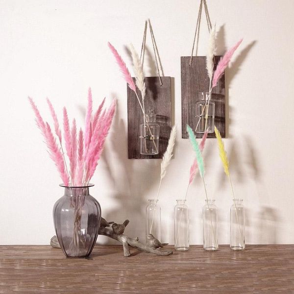 decorative flowers & wreaths natural dried 30pcs pampas grass home christmas decoration bulrush
decorative flowers & wreaths natural dried 30pcs pampas grass home christmas decoration bulrush