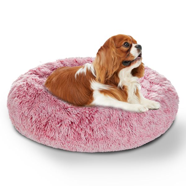 dog bed cat beds sofa sma medium extra arge dogs pet kenne round cushion mat for dogs cats puppy pet pies accessories
dog bed cat beds sofa sma medium extra arge dogs pet kenne round cushion mat for dogs cats puppy pet pies accessories