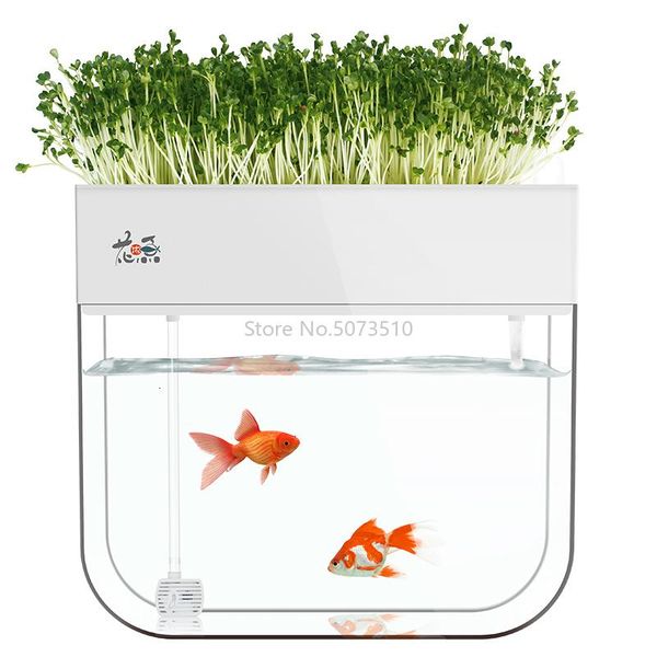 water-ecological goldfish tank living room home desksmall symbiosis system flower muzy lazy aquarium fish box
water-ecological goldfish tank living room home desksmall symbiosis system flower muzy lazy aquarium fish box