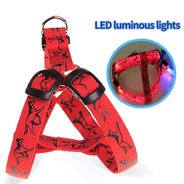 dog collars & leashes led nylon harness night safety flashing glow in the dark product for collar luminous fluorescent pet supplies
dog collars & leashes led nylon harness night safety flashing glow in the dark product for collar luminous fluorescent pet supplies