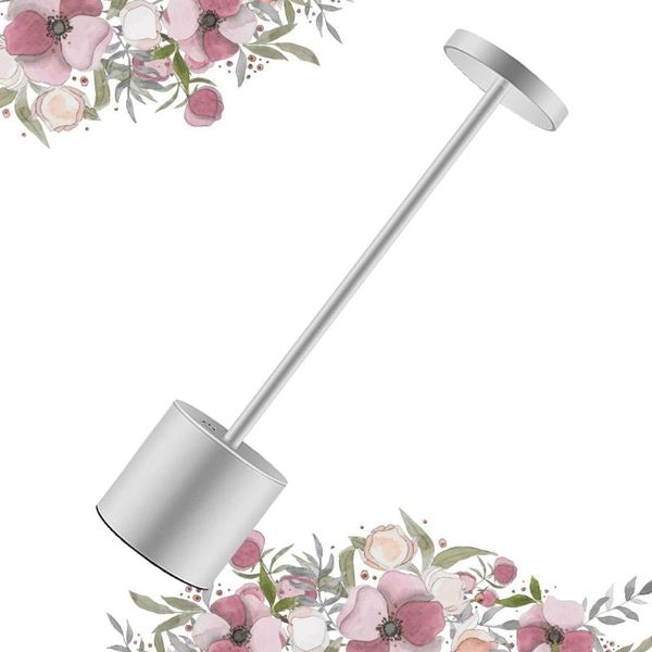 table lamps led desk lamp usb charging reading eye protection (silver)
table lamps led desk lamp usb charging reading eye protection (silver)