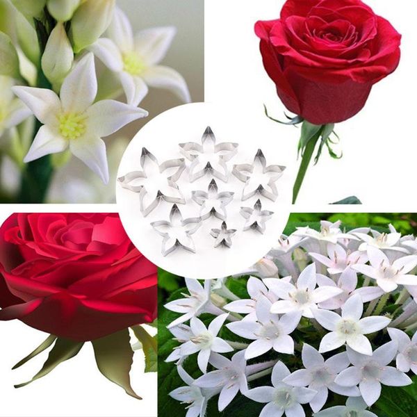 baking moulds 7 pcs /set roses calyx flower cake decorating molds stainless steel biscuit fondant cookie cutter wedding party tools
baking moulds 7 pcs /set roses calyx flower cake decorating molds stainless steel biscuit fondant cookie cutter wedding party tools