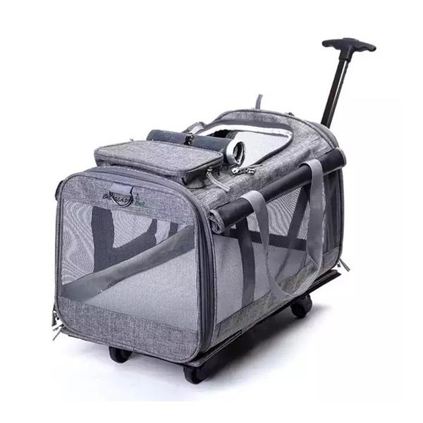 suitcases pet trolley suitcase bag with wheels outing cat dog portable breathable car collapsible large luggage
suitcases pet trolley suitcase bag with wheels outing cat dog portable breathable car collapsible large luggage