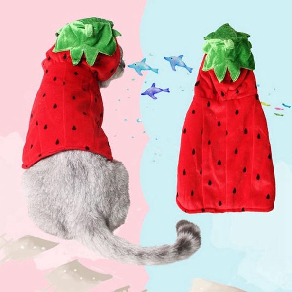 pet cat clothing halloween cosplay red strawberry clothes winter cute doggy cats halloween costume outfit
pet cat clothing halloween cosplay red strawberry clothes winter cute doggy cats halloween costume outfit