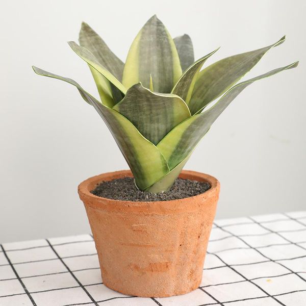 northern european-style ins artificial succulents bonsai home decoration deskdisplay plastic artificial flower
northern european-style ins artificial succulents bonsai home decoration deskdisplay plastic artificial flower