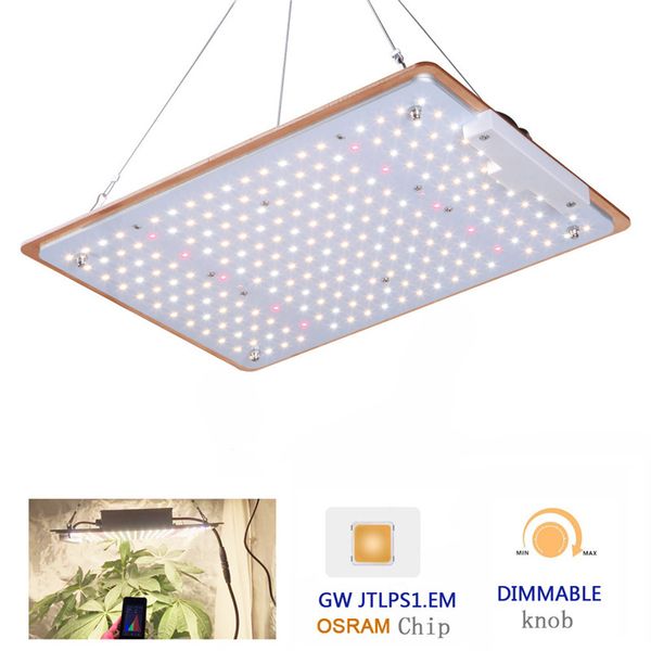 full spectrum dimmable plant led grow light lm301h add 660nm red ir uv 120w/240w greenhouse lights for tent
full spectrum dimmable plant led grow light lm301h add 660nm red ir uv 120w/240w greenhouse lights for tent
