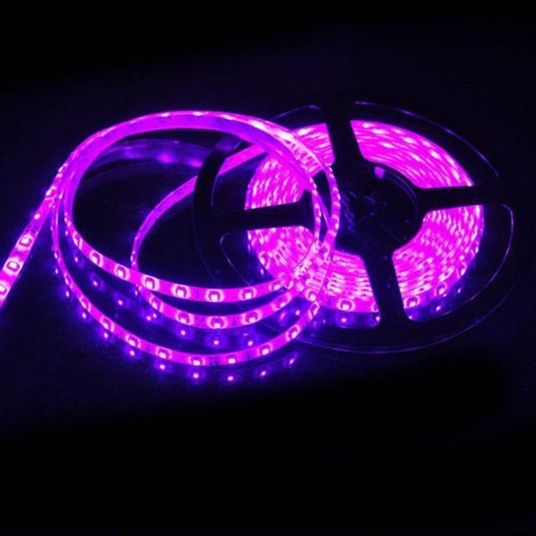 strips 5m waterproof led strip dc 12v smd3528 300 lights for living room swimming pool decor light purple
strips 5m waterproof led strip dc 12v smd3528 300 lights for living room swimming pool decor light purple