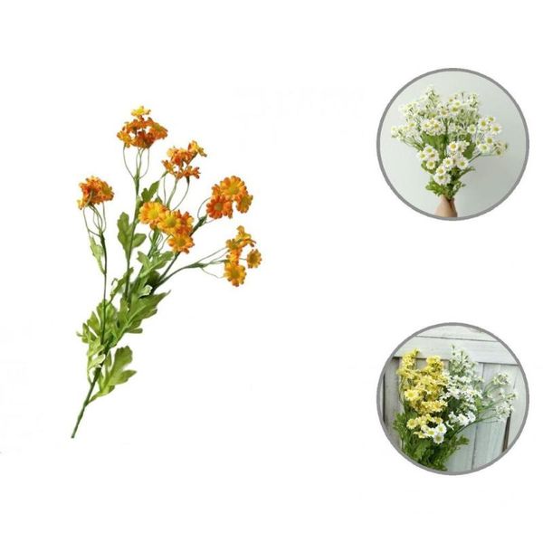 decorative flowers & wreaths portable fashion charming artificial flower everlasting faux natural for garden
decorative flowers & wreaths portable fashion charming artificial flower everlasting faux natural for garden