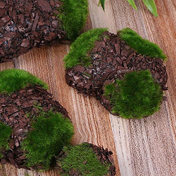 6pcs l diy fake rock shop window simulation mini office garden decor prop artificial plant foam moss stone landscape wedding
6pcs l diy fake rock shop window simulation mini office garden decor prop artificial plant foam moss stone landscape wedding