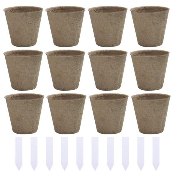 disposable gloves 110pcs starter peat pots transplant seedlings biodegradable
disposable gloves 110pcs starter peat pots transplant seedlings biodegradable