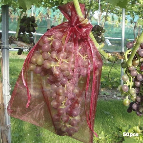 planters & pots 50pcs netting bags garden vegetable grapes apples fruit protection bag agricultural pest control anti-bird mesh grape
planters & pots 50pcs netting bags garden vegetable grapes apples fruit protection bag agricultural pest control anti-bird mesh grape