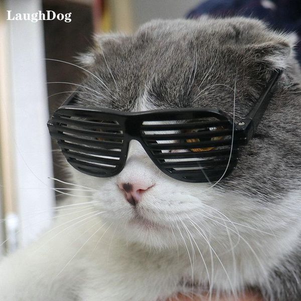 cat costumes funny pet glasses fashion sunglasses casual shutters for cats dogs cool take personalized pos accessories
cat costumes funny pet glasses fashion sunglasses casual shutters for cats dogs cool take personalized pos accessories