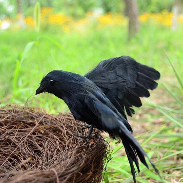 garden decorations 2pcs simulation black crow animal model artificial bird raven prop scary decoration for party supplies horror props
garden decorations 2pcs simulation black crow animal model artificial bird raven prop scary decoration for party supplies horror props