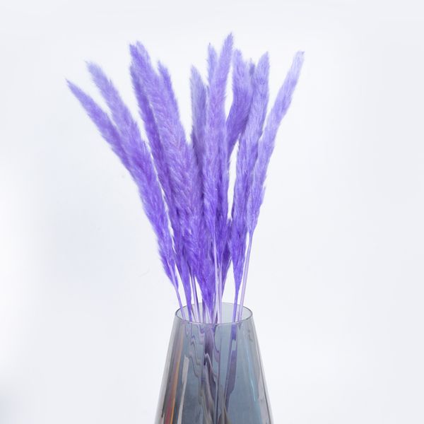 wedding home bulrush natural artificial plants branch colorful fleurs sechees pampas grass phragmites flower home decor flower
wedding home bulrush natural artificial plants branch colorful fleurs sechees pampas grass phragmites flower home decor flower