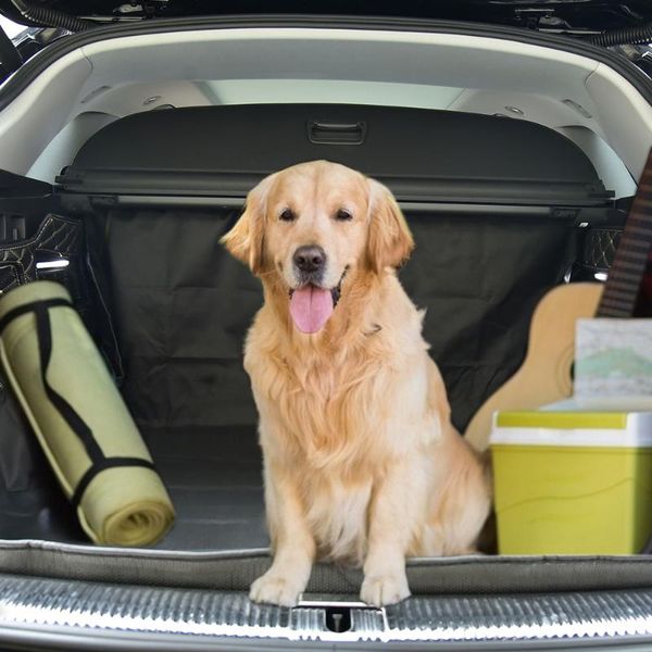 dog car seat covers pet cover mats waterproof easy to clean rear back mat carrier protector carrying supplies
dog car seat covers pet cover mats waterproof easy to clean rear back mat carrier protector carrying supplies