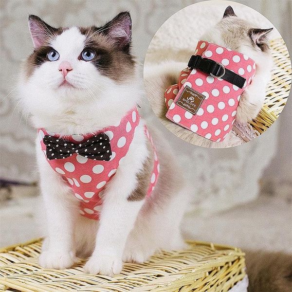 cat collars & leads pet harness traction rope suit vest-style chest strap comfortable small and medium cats products for pets dog accessorie
cat collars & leads pet harness traction rope suit vest-style chest strap comfortable small and medium cats products for pets dog accessorie