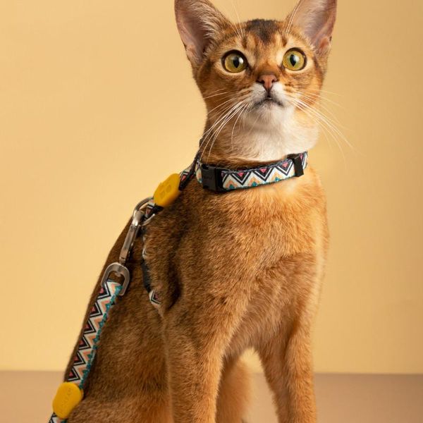 cat collars & leads h-shaped anti-break harness strong and durable adjustable supplies accessories leash
cat collars & leads h-shaped anti-break harness strong and durable adjustable supplies accessories leash