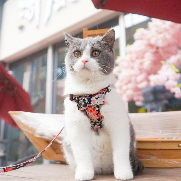cat collars & leads japanese style leash anti-strike harness comfortable and breathable vest accessories supplies
cat collars & leads japanese style leash anti-strike harness comfortable and breathable vest accessories supplies
