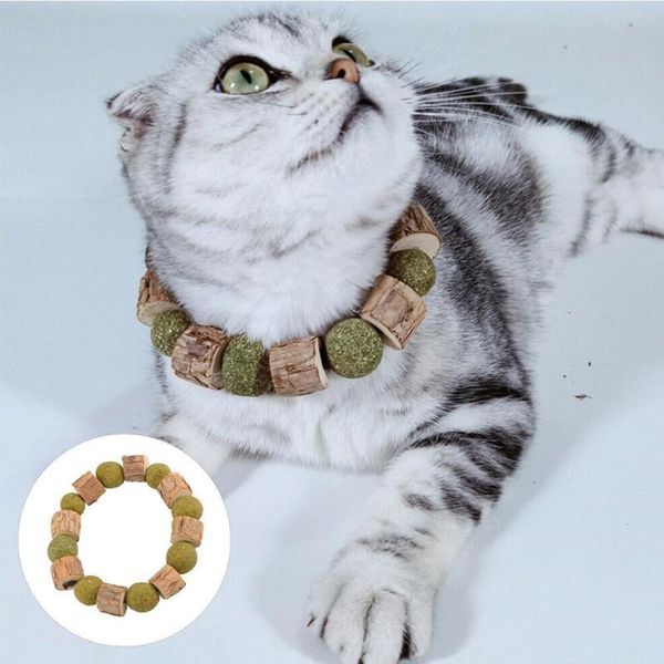 cat toys pet products catnip chew sticks necklace funny bracelet natural safety household for kittens and adult
cat toys pet products catnip chew sticks necklace funny bracelet natural safety household for kittens and adult