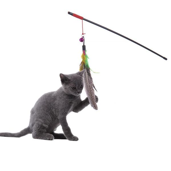 cat toys cute creative funny pure natural pearl pattern long feathers big birds tease sticks sell cats interactive
cat toys cute creative funny pure natural pearl pattern long feathers big birds tease sticks sell cats interactive