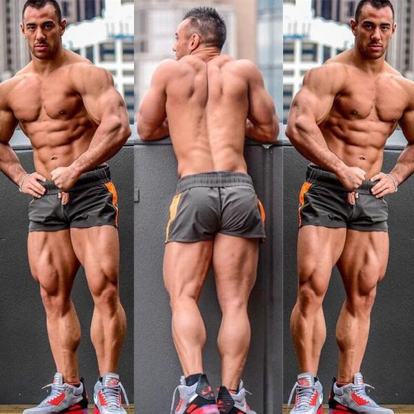 new summer mens shorts gyms fitness bodybuilding casual joggers workout brand sporting short pants sportswear sweatpants, White;black
new summer mens shorts gyms fitness bodybuilding casual joggers workout brand sporting short pants sportswear sweatpants, White;black