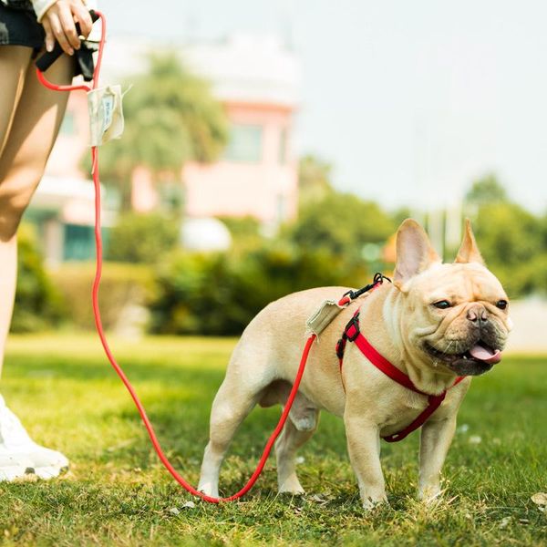 dog leash running walk train for large small cat pets leashes dogs leash rope nylon tenacity 7 colors 3 sizes
dog leash running walk train for large small cat pets leashes dogs leash rope nylon tenacity 7 colors 3 sizes