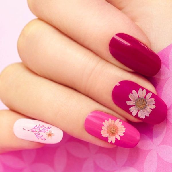 4 sets dried flowers natural flower material pressed flower for diy resin craft 
4 sets dried flowers natural flower material pressed flower for diy resin craft