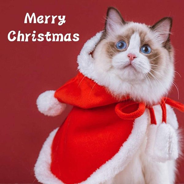 cat christmas costume hooded pet costume santa cloak suitable for puppy cute red pet clothes ropa para mascotas
cat christmas costume hooded pet costume santa cloak suitable for puppy cute red pet clothes ropa para mascotas