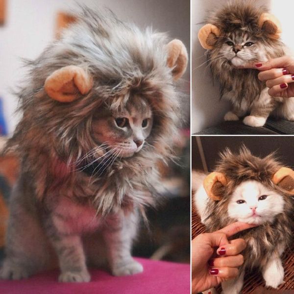 cat costumes cute pet party cosplay clothes costume lion mane winter warm wig large dog with ears headgear
cat costumes cute pet party cosplay clothes costume lion mane winter warm wig large dog with ears headgear
