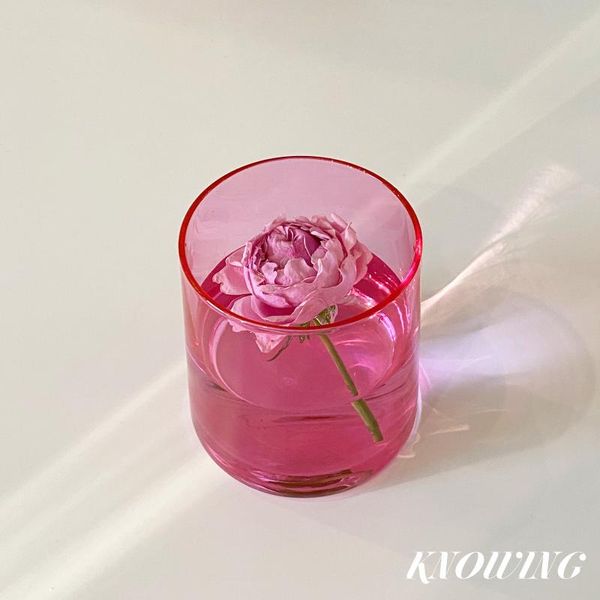 wine glasses pink simple glass cup cute women blossom cups breakfast milk tea office gift bicchieri vetro glassware drinking ac50bl
wine glasses pink simple glass cup cute women blossom cups breakfast milk tea office gift bicchieri vetro glassware drinking ac50bl