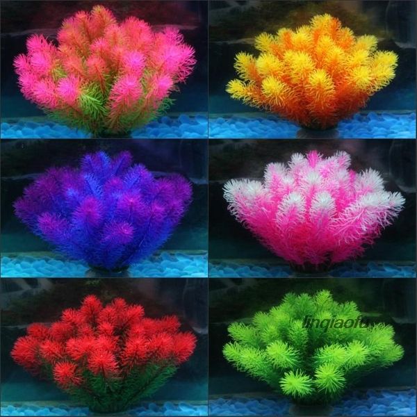 decorations flower ball grass tank landscape, large bunch of aquarium decorative round seaweed
decorations flower ball grass tank landscape, large bunch of aquarium decorative round seaweed