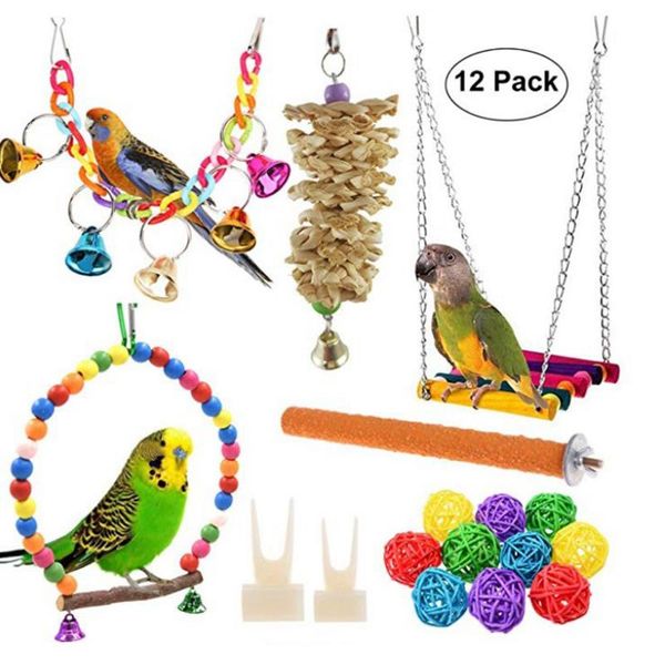 other bird supplies 12pcs parrots toys and accessories for pet toy swing stand budgie parakeet cage african grey vogel speelgoed parkiet
other bird supplies 12pcs parrots toys and accessories for pet toy swing stand budgie parakeet cage african grey vogel speelgoed parkiet